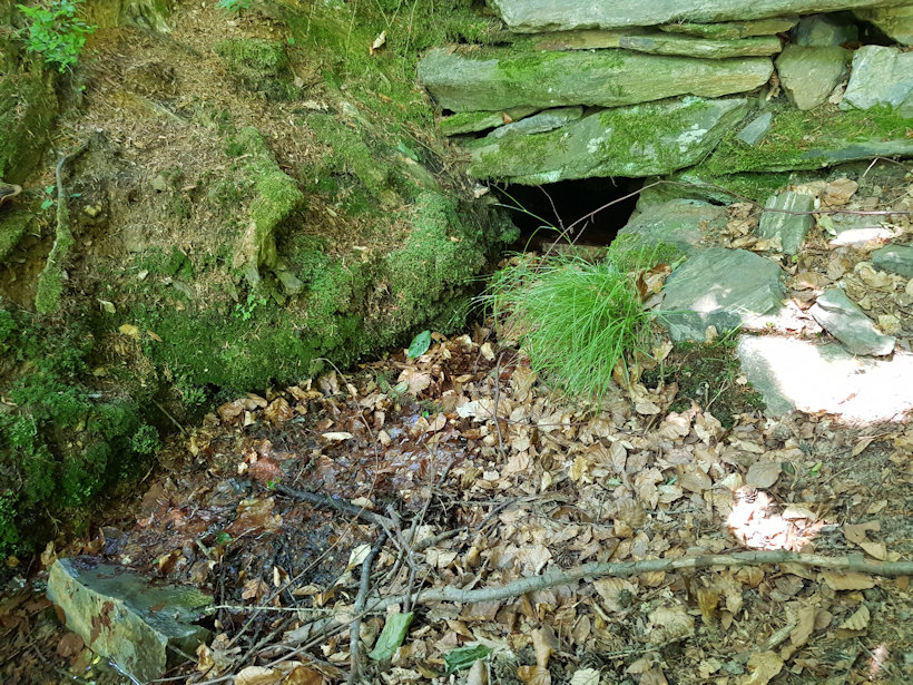 Prdlavá studánka (12105) - květen 2018