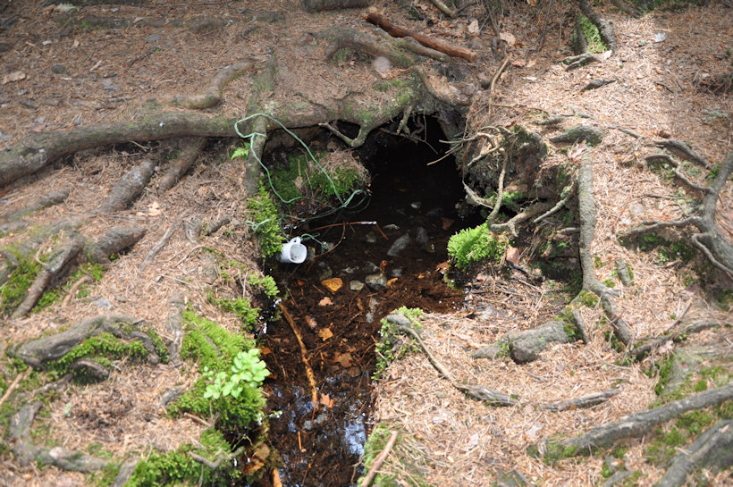 Falešná studánka (12111) - květen 2018