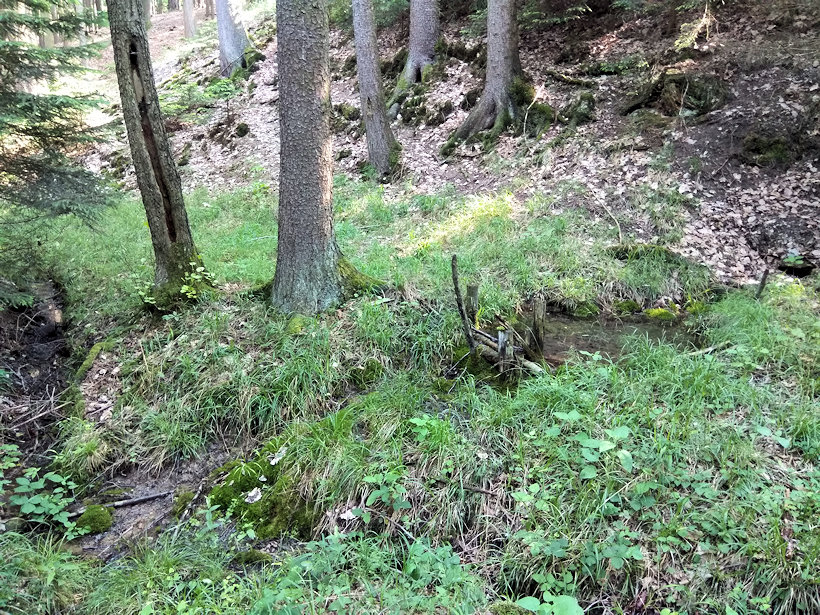 studánka Ztracenka (12123) - květen 2018