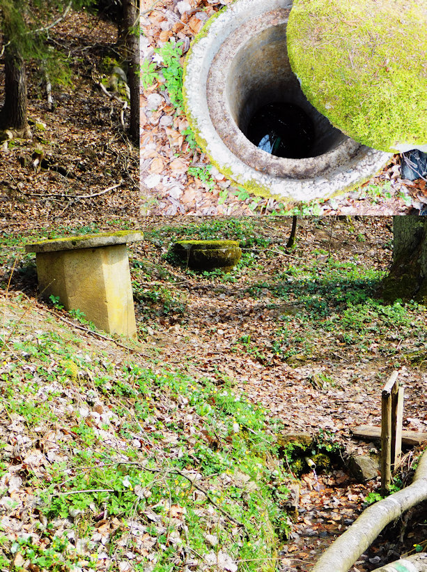 studánka U Jansova mlýna (12126) - červen 2018
