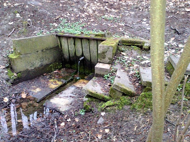 studánka Na Zbytkách (12131) - březen 2017