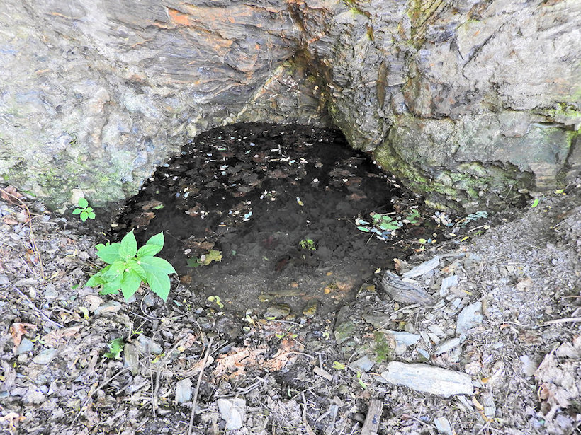 pramen Křižovnická studánka (12132) - datum neznámé