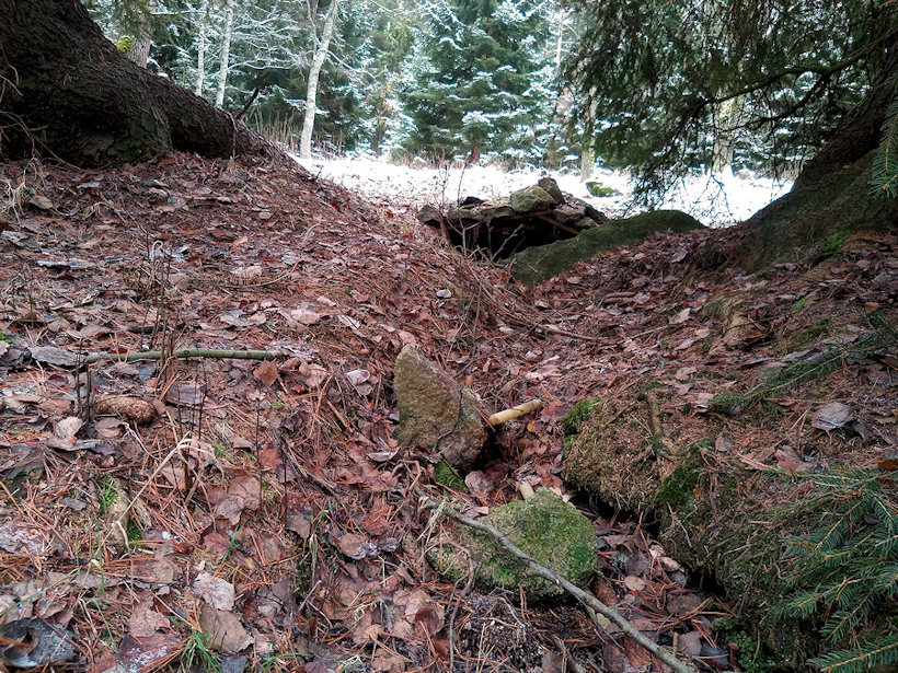 Kamenná studánka (12141) - prosinec 2020