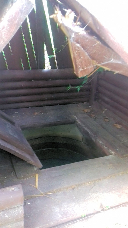 studánka Pod Vysokou Roudnou (12144) - červen 2018