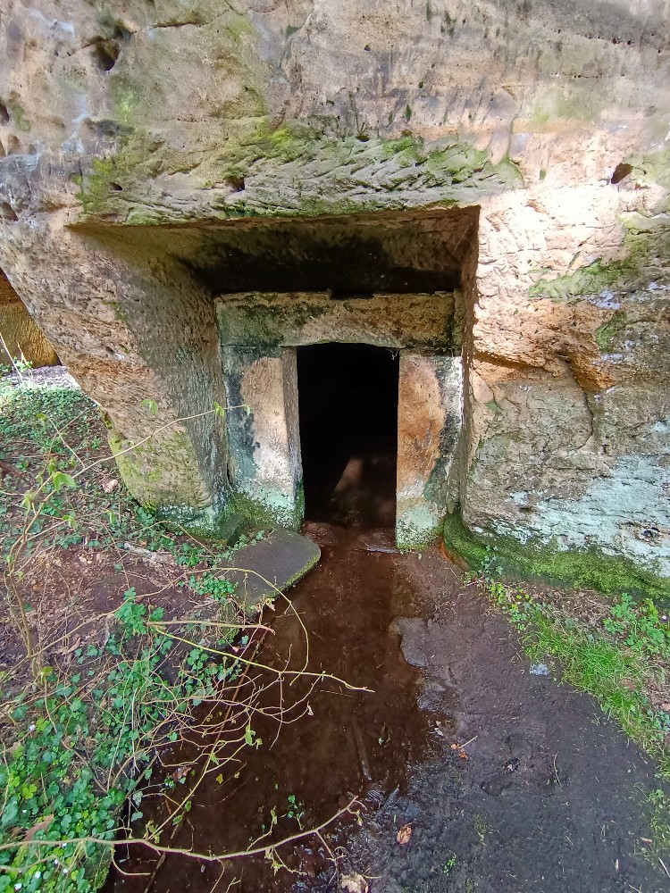 studánka Pod mostem (12180) - březen 2024