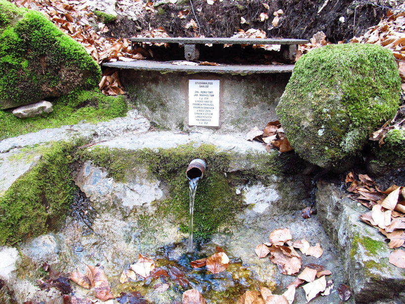 studánka Pod skalou (12181) - duben 2018