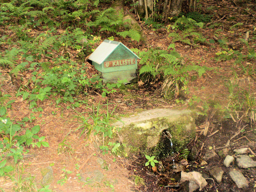 studánka U Kaliště (12189) - červen 2018