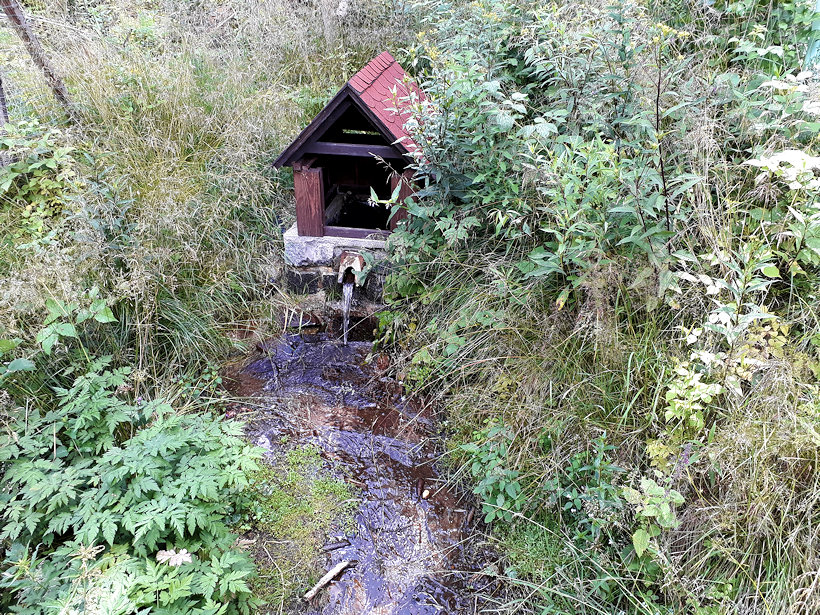 studánka Pod Rozhledem (12191) - červenec 2018
