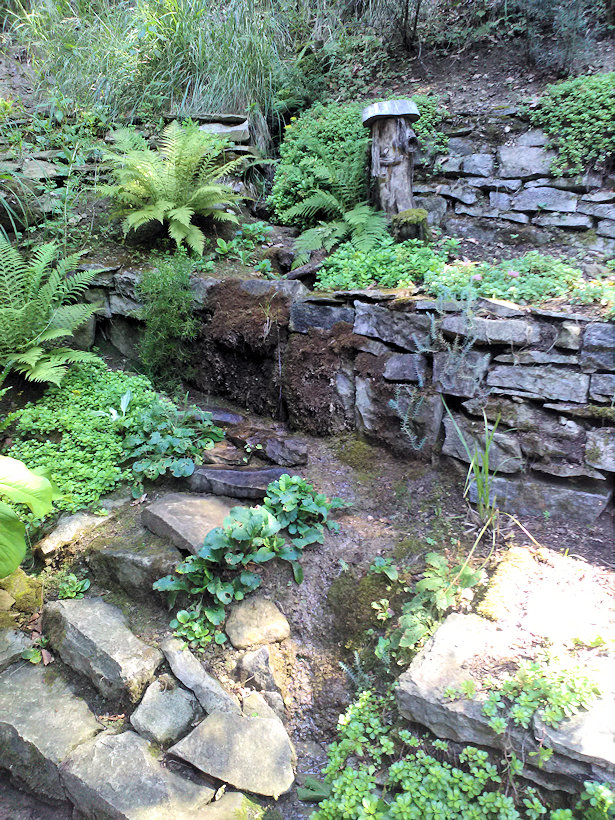 studánka U Pildy (12205) - červenec 2018