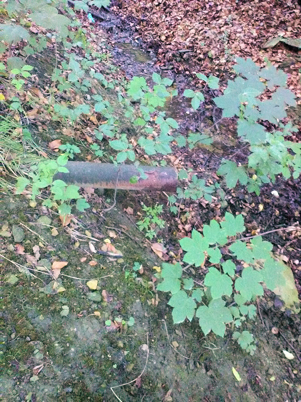 studánka Nad potokem (12206) - červenec 2018