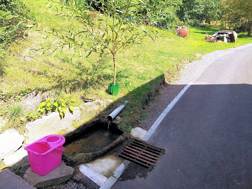 Stanovnická studánka (12216) - červenec 2018