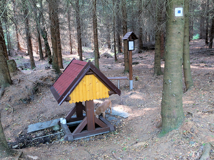 studánka V Kominíku (12261) - srpen 2018