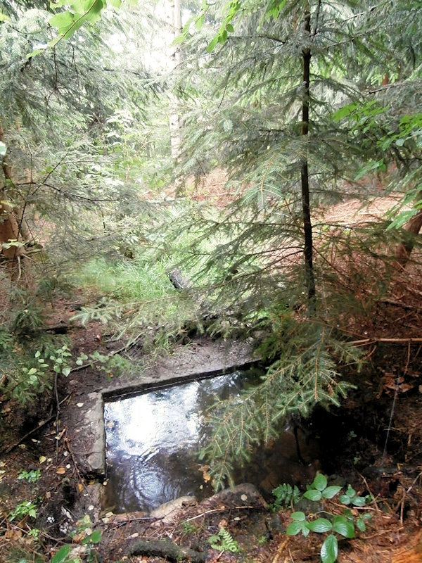 studánka Pod myslivnou (12265) - červenec 2018