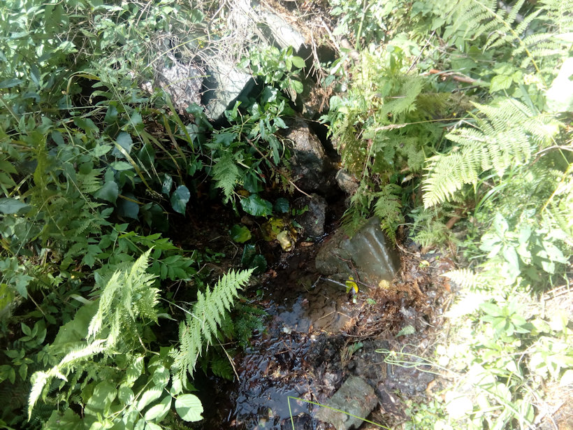 studánka Rajštačka (12277) - červenec 2018