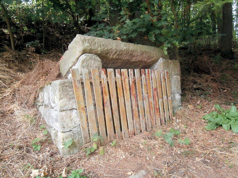 studánka V Suchém Dole (12283) - srpen 2018