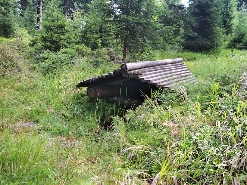 studánka U Vilémovy chaty (12287) - červenec 2018