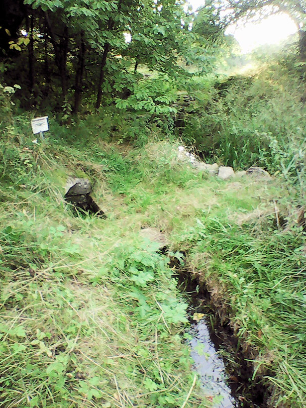 studánka Pod Pláničkou (12303) - srpen 2018