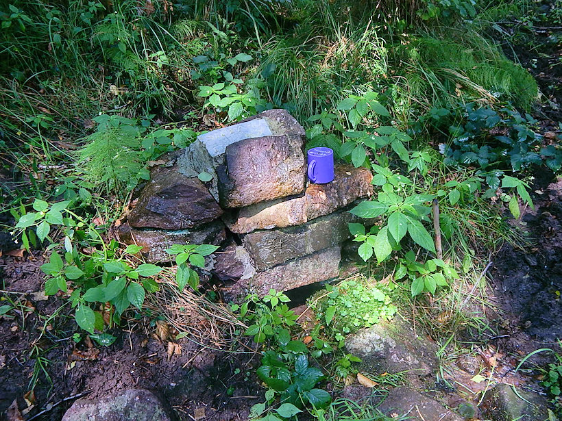 Rysí studánka (12310) - listopad -0001