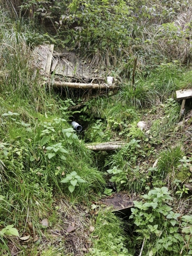 Kouzelná brodecká studánka (12328) - říjen 2022