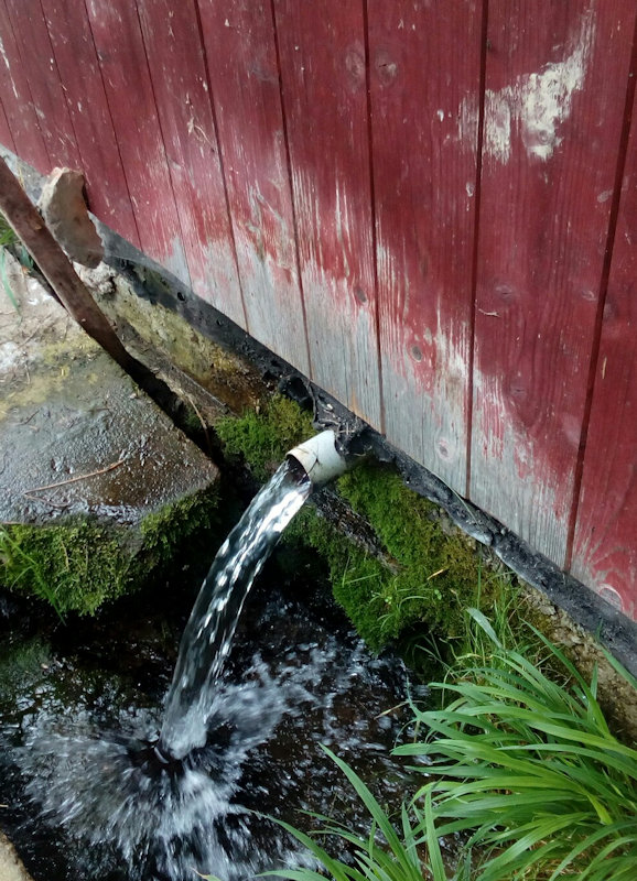 studánka Pstruží (12332) - srpen 2018