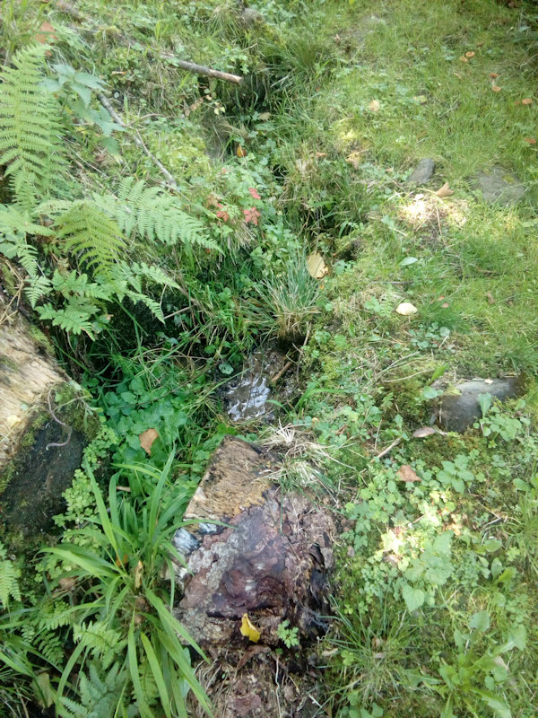 prameniště Fortunka (12345) - září 2018