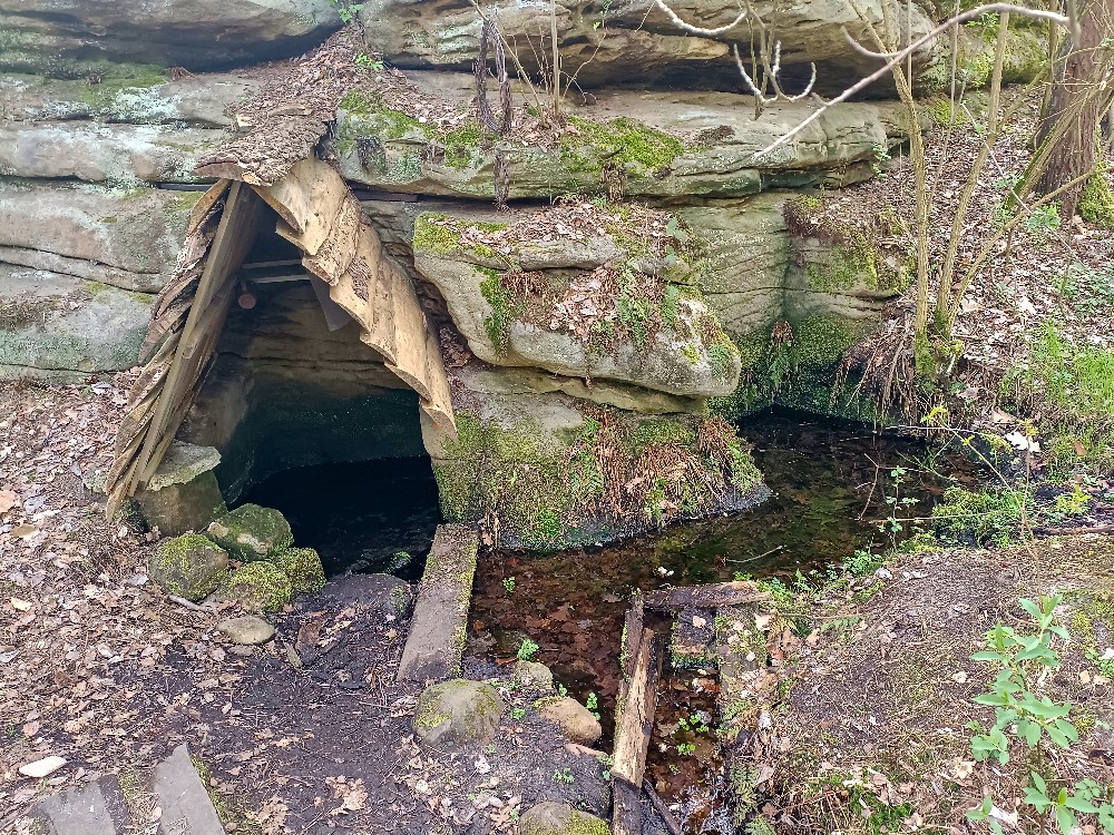 studánka bez jména (12378) - březen 2024