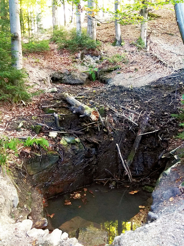 studánka Pod Antoníčkem (12380) - říjen 2018