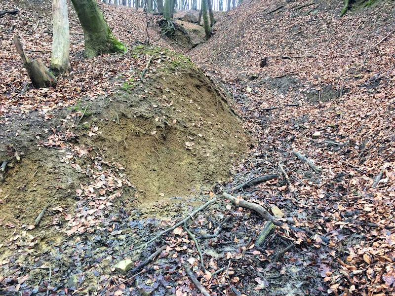 studánka Ve žlebě (12382) - říjen 2018