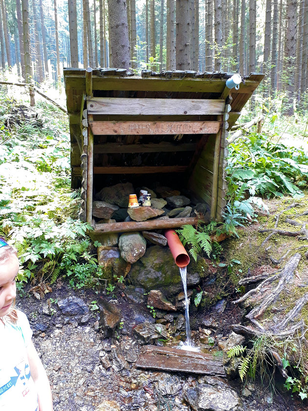 studánka Pod železným vrchem (12383) - červenec 2018