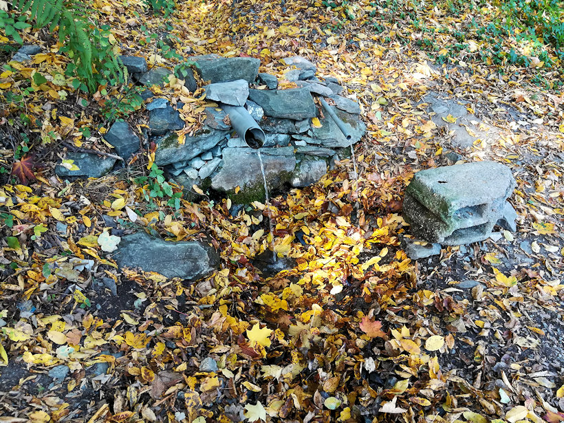 studánka Svatojánské proudy (12395) - říjen 2018