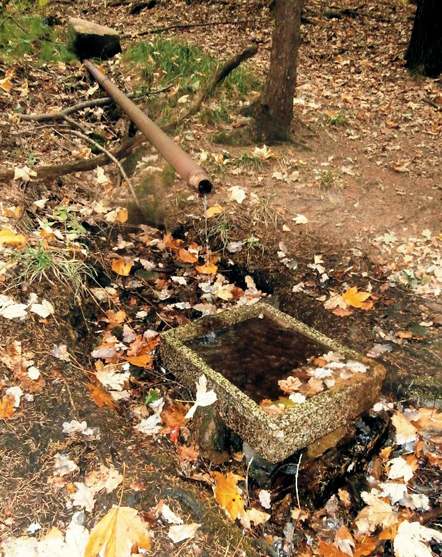 studánka bez jména (12399) - říjen 2018