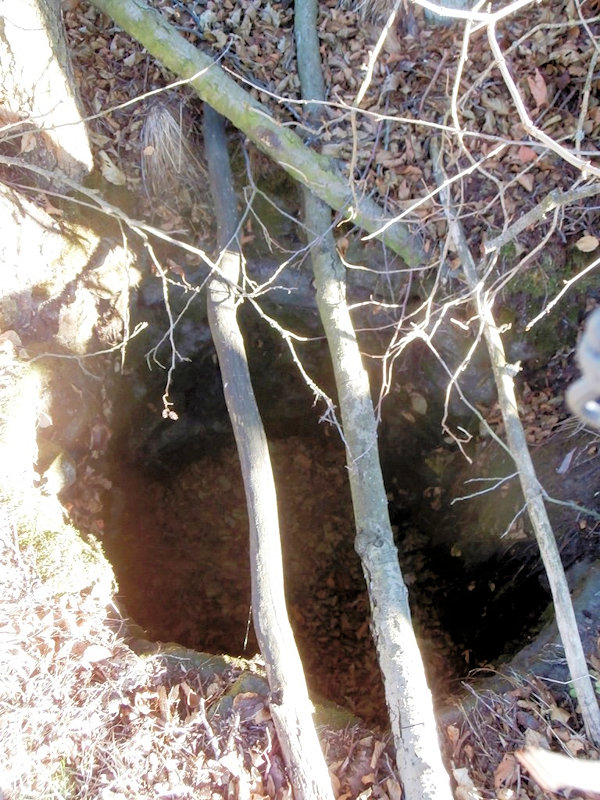 studánka bez jména (12424) - listopad 2018