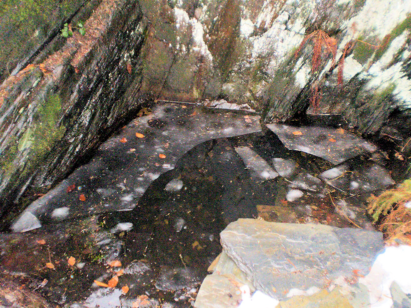 studánka Katány (12448) - prosinec 2018