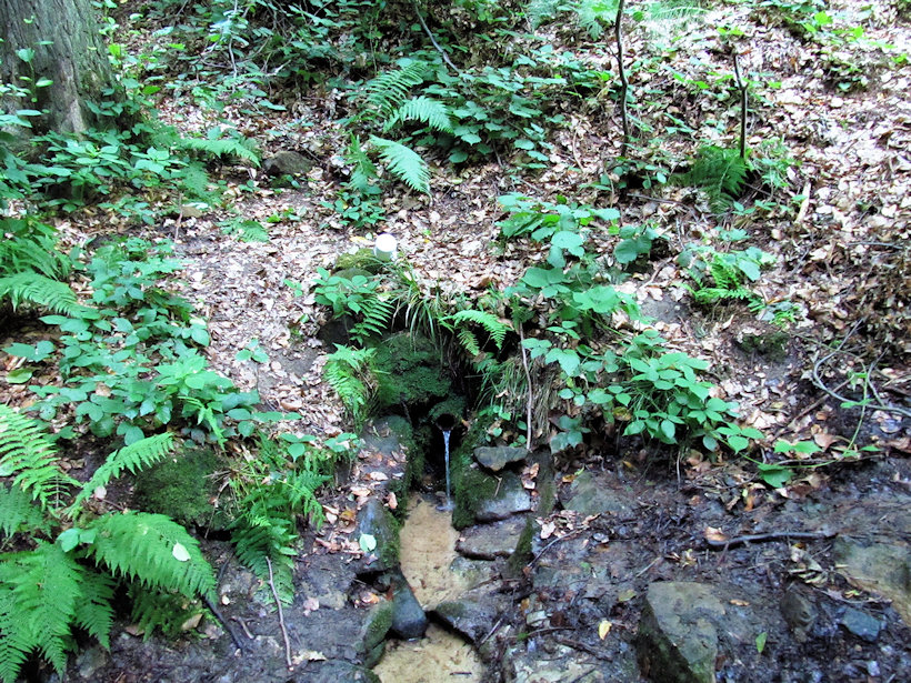 studánka Živá voda (12455) - srpen 2015