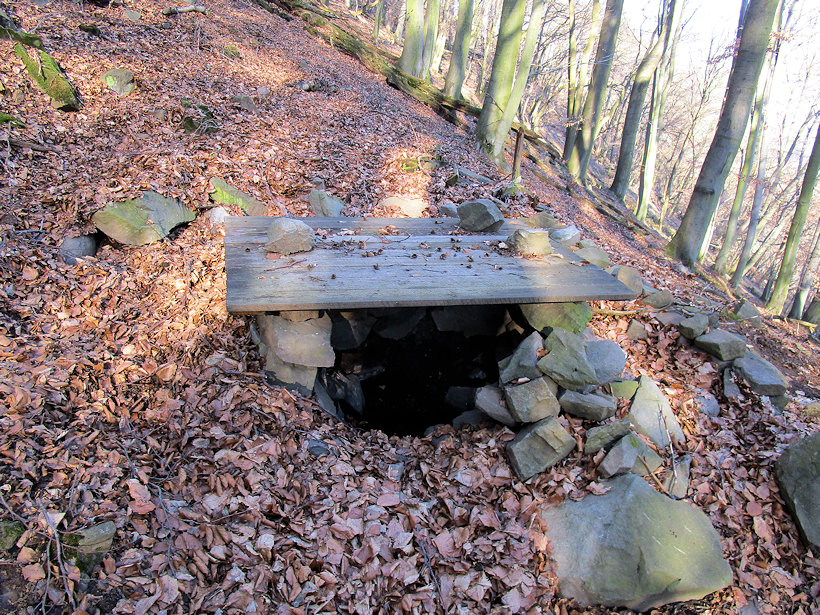 studánka Nad Josefínkou (12460) - únor 2019