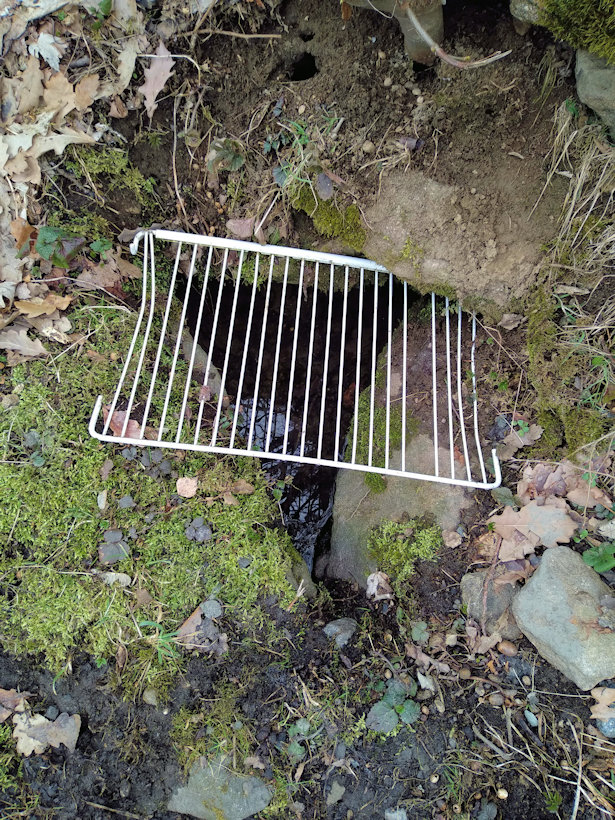 studánka bez jména (12467) - únor 2019