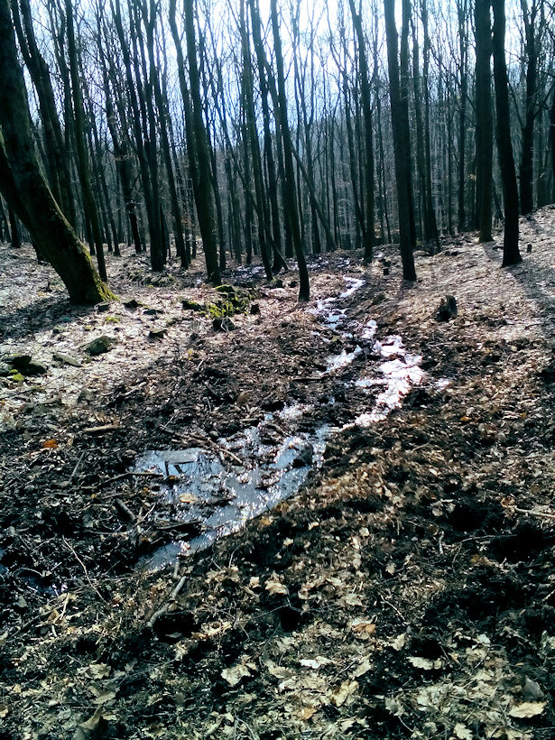 pramen Na Čihadle 1 (12469) - únor 2019