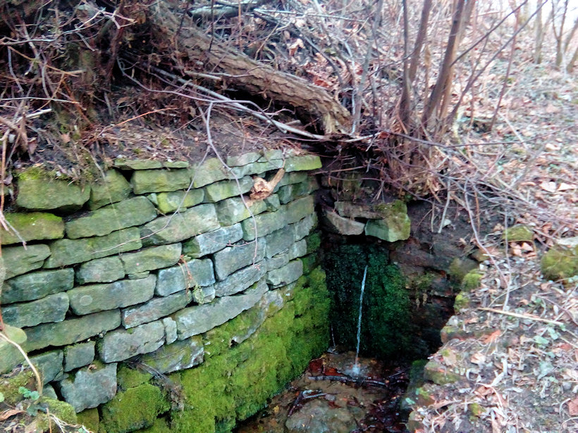 studánka Cikánka (12479) - březen 2019