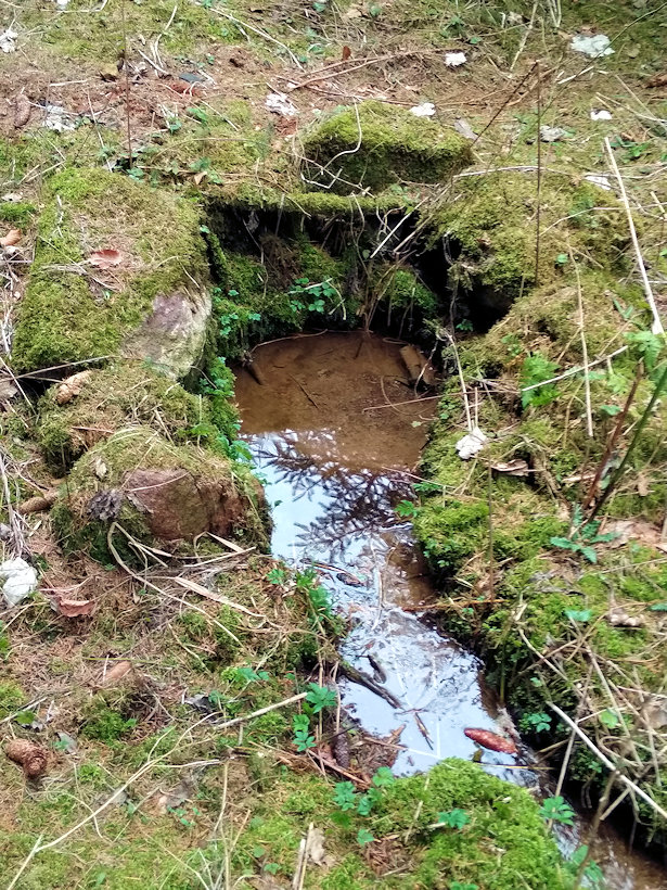 studánka bez jména (12488) - březen 2019
