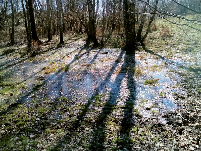 prameniště Mokřad Ebermoor (12502) - březen 2019