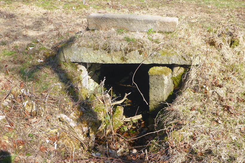 studánka bez jména (12504) - březen 2019
