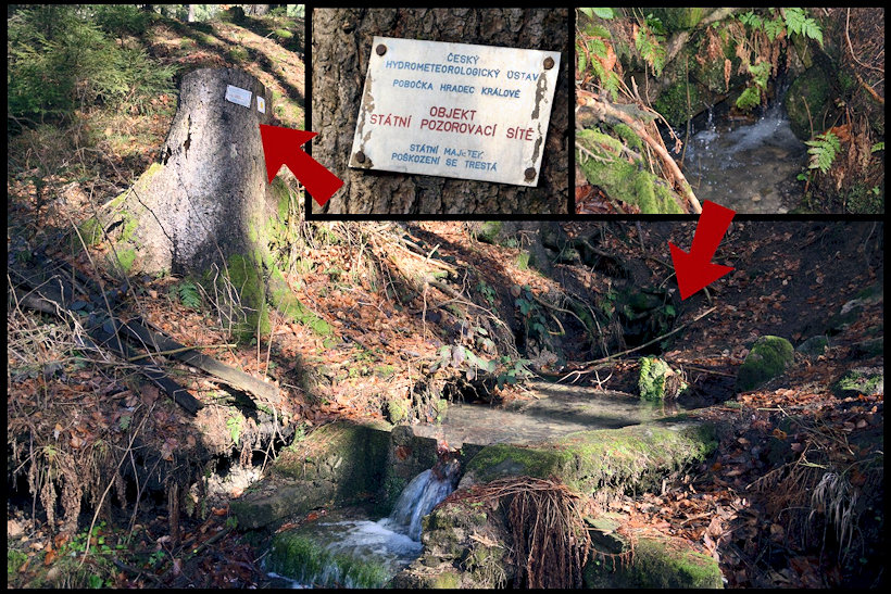 studánka V Potůčkách (12510) - březen 2019
