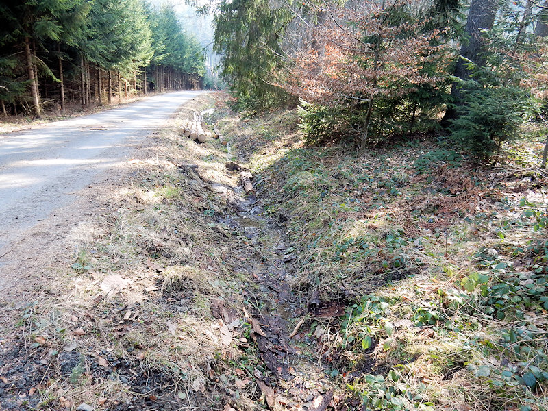 pramen Nad milníkem (12512) - březen 2019