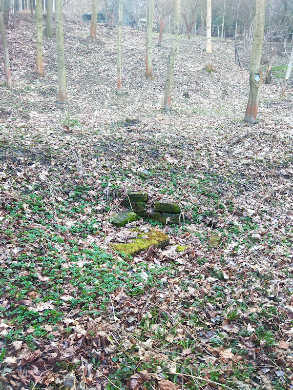 Lázeňská studánka (12513) - březen 2019