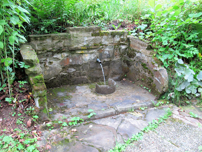 studánka V Krátkých (12526) - červenec 2016