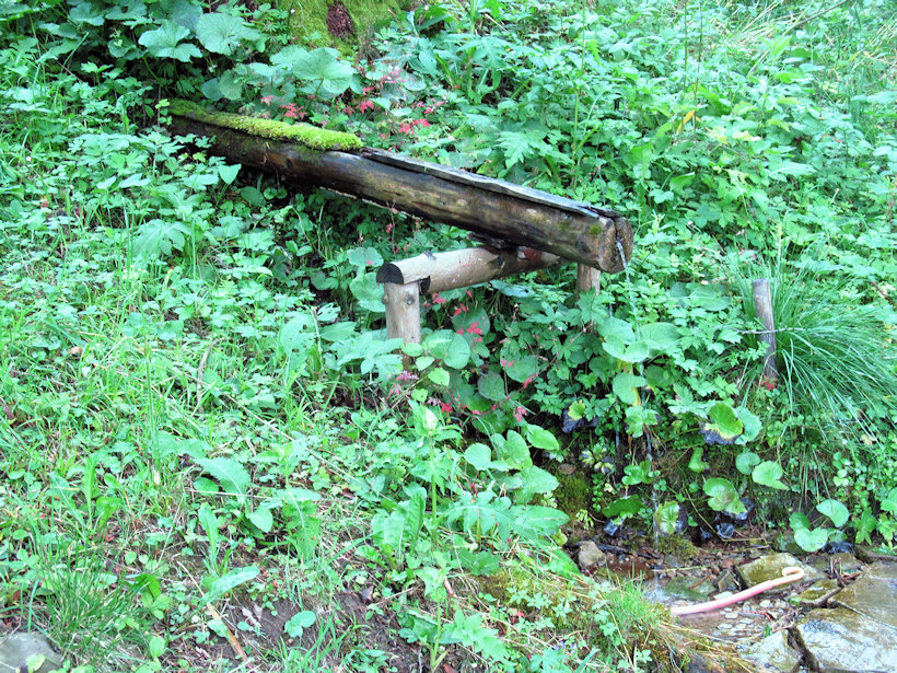 studánka Nad starou školou (12527) - červenec 2016