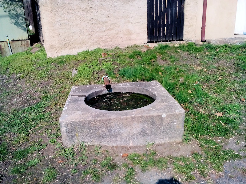 studánka U Lípy (12529) - březen 2019