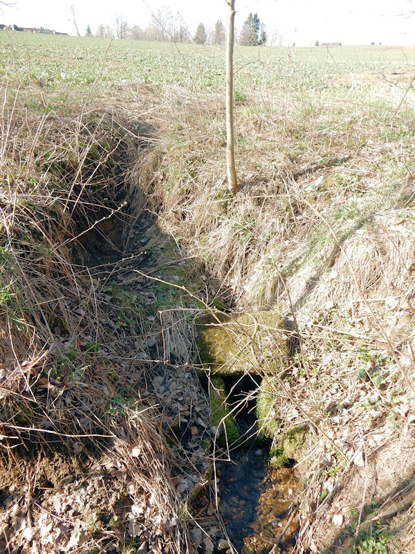 studánka Pod Veselým Kopcem (12532) - duben 2019
