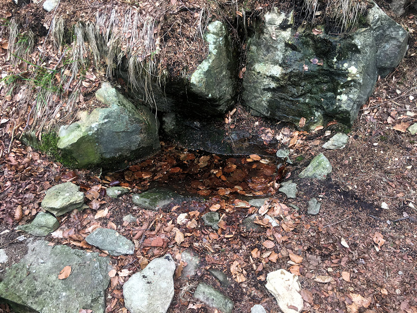 Břidličná studánka (12573) - duben 2019