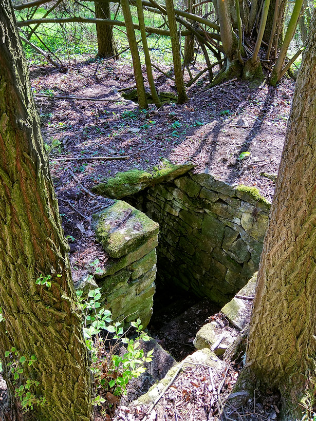 studna Šmejdířova (12579) - duben 2019